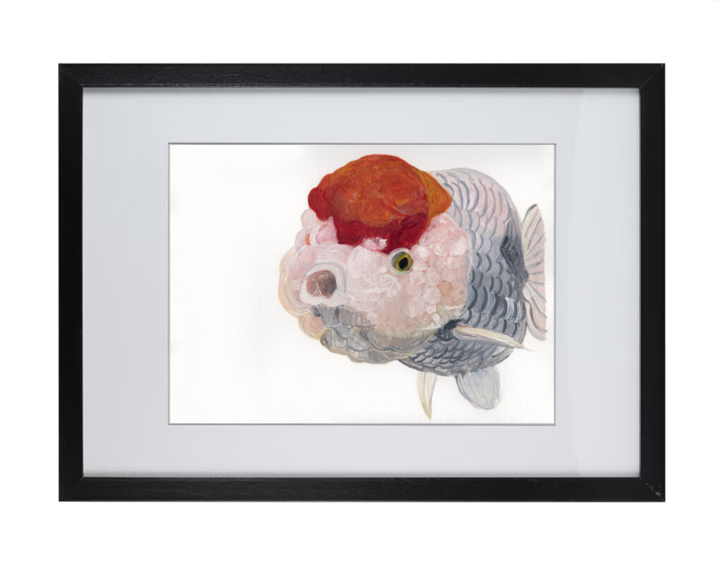 Goldfish Series 1 |  Watercolor Hand Painting | Produced by Joachim Heng | Summer Artwork from 13th to 23rd December 2023