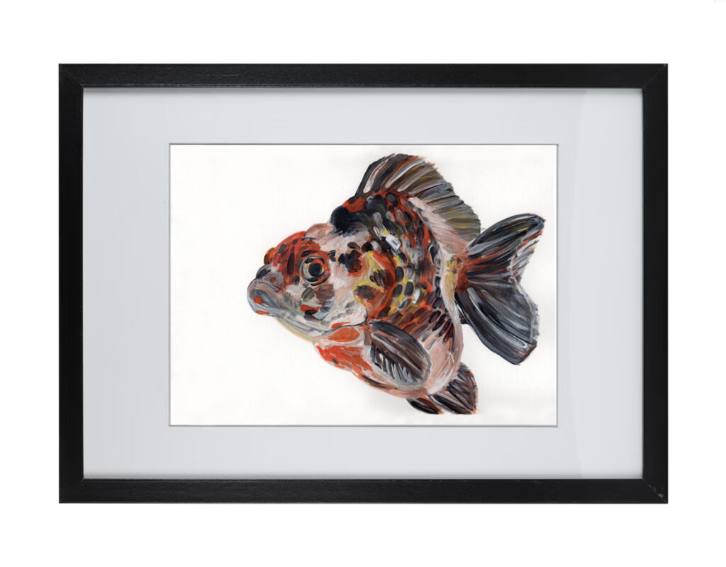 Goldfish Series 1 |  Watercolor Hand Painting | Produced by Joachim Heng | Summer Artwork from 13th to 23rd December 2023