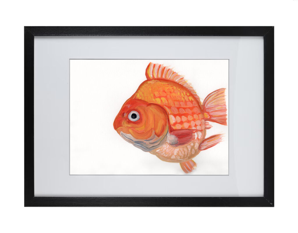 Goldfish Series 1 |  Watercolor Hand Painting | Produced by Joachim Heng | Summer Artwork from 13th to 23rd December 2023