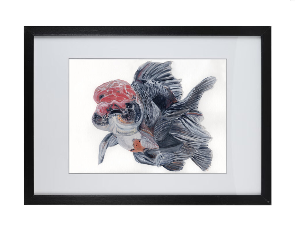 Goldfish Series 2 | Watercolor Hand Painting | Produced by Joachim Heng | Summer Art from 10th January to 2nd February 2024