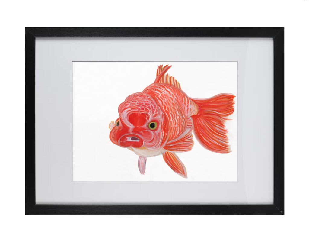 Goldfish Series 2 | Watercolor Hand Painting | Produced by Joachim Heng | Summer Art from 10th January to 2nd February 2024