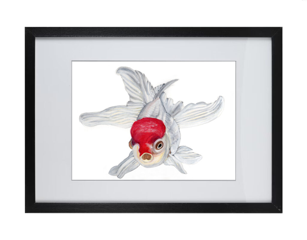 Goldfish Series 2 | Watercolor Hand Painting | Produced by Joachim Heng | Summer Art from 10th January to 2nd February 2024