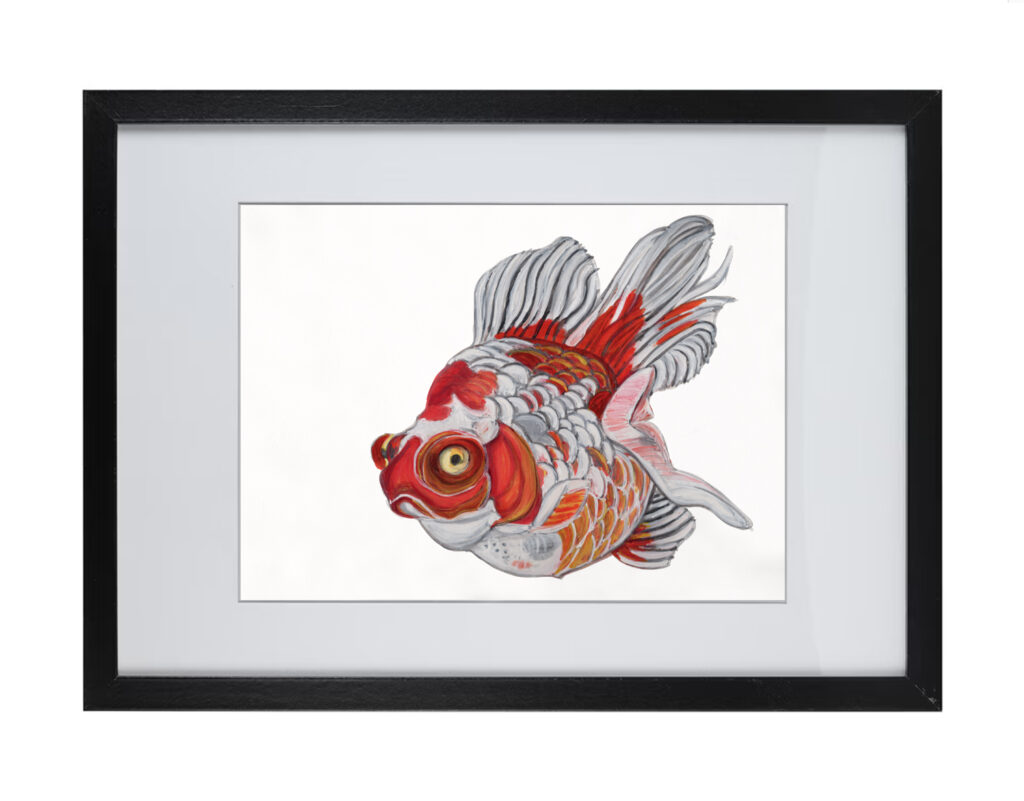 Goldfish Series 2 | Watercolor Hand Painting | Produced by Joachim Heng | Summer Art from 10th January to 2nd February 2024