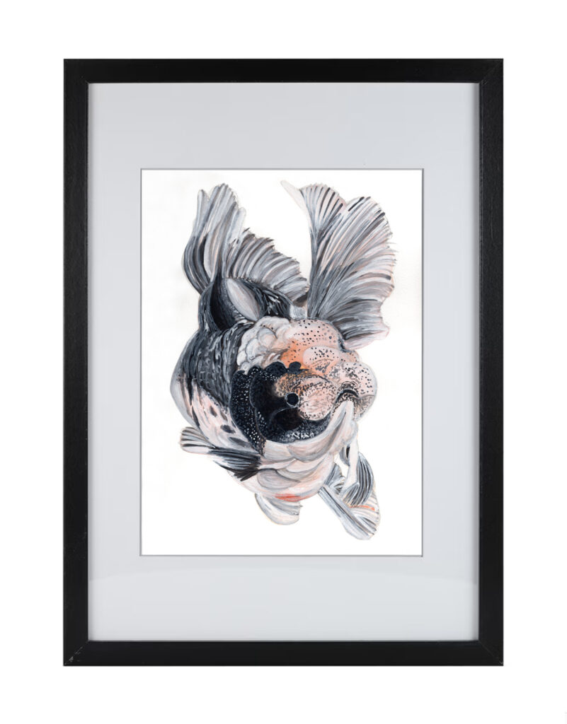 Goldfish Series 3 | Watercolor Hand Painting | Produced by Joachim Heng | Summer Autumn Art from 15th February to 14th March 2024