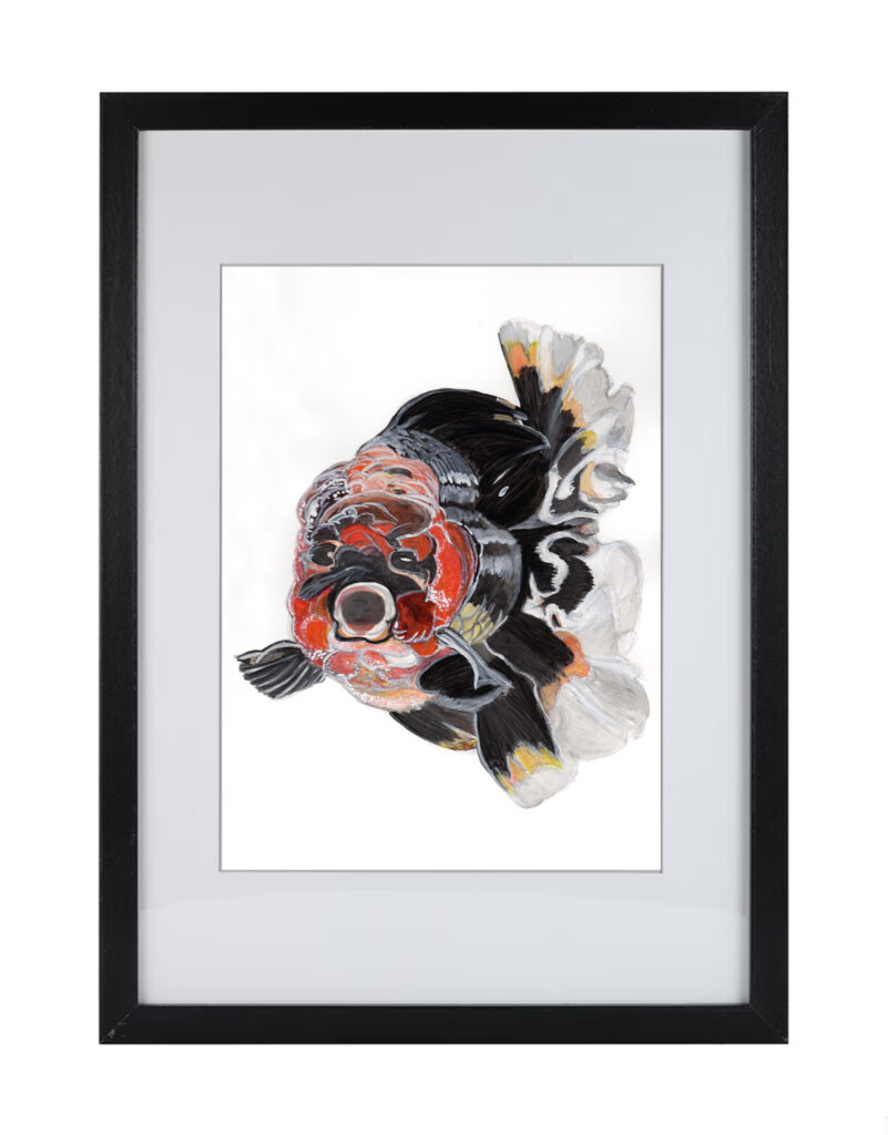 Goldfish Series 3 | Watercolor Hand Painting | Produced by Joachim Heng | Summer Autumn Art from 15th February to 14th March 2024