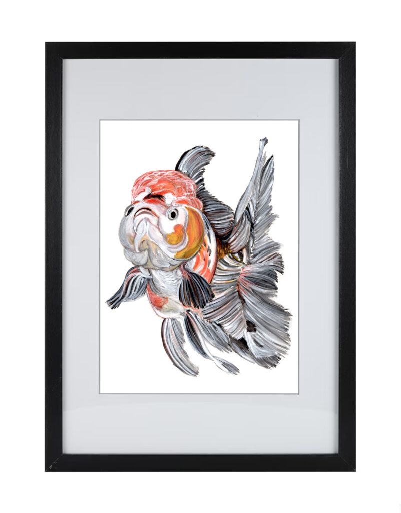 Goldfish Series 3 | Watercolor Hand Painting | Produced by Joachim Heng | Summer Autumn Art from 15th February to 14th March 2024