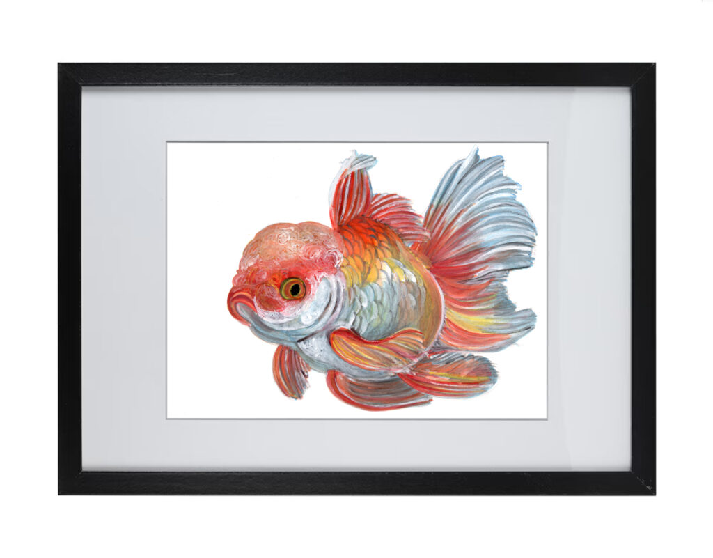 Goldfish Series 3 | Watercolor Hand Painting | Produced by Joachim Heng | Summer Autumn Art from 15th February to 14th March 2024