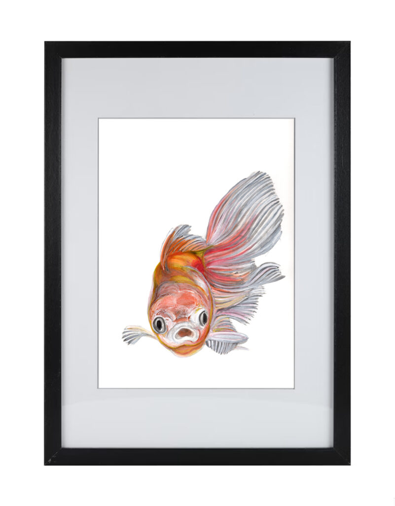 Goldfish Series 3 | Watercolor Hand Painting | Produced by Joachim Heng | Summer Autumn Art from 15th February to 14th March 2024