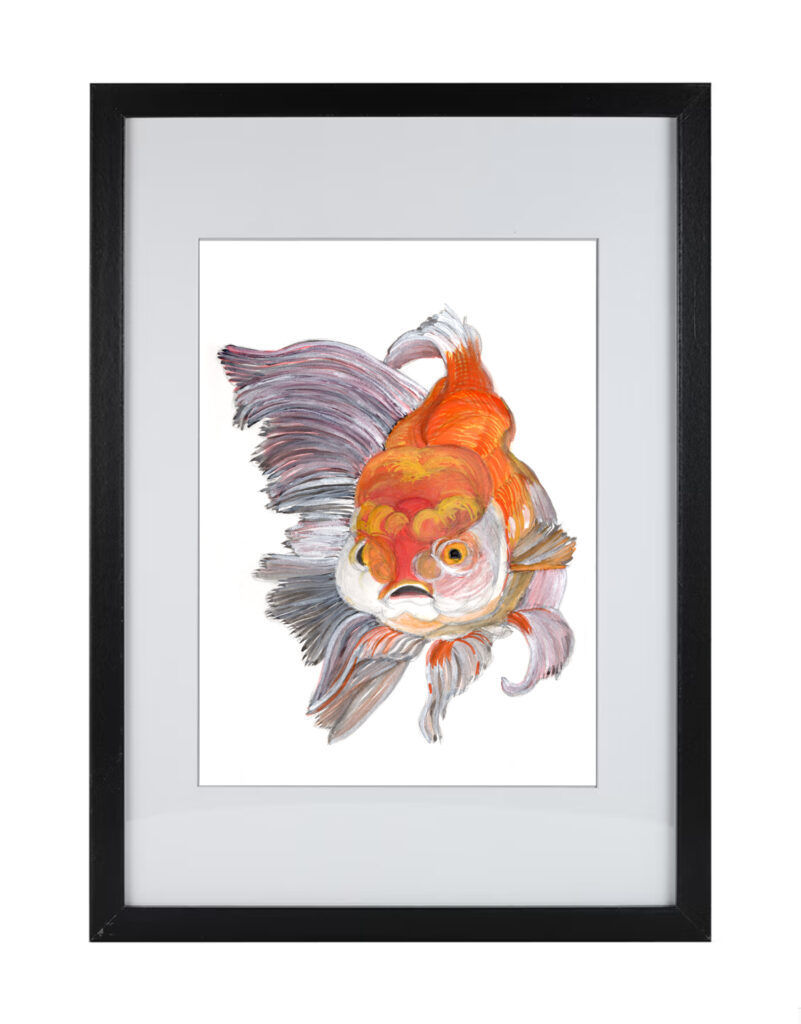 Goldfish Series 3 | Watercolor Hand Painting | Produced by Joachim Heng | Summer Autumn Art from 15th February to 14th March 2024