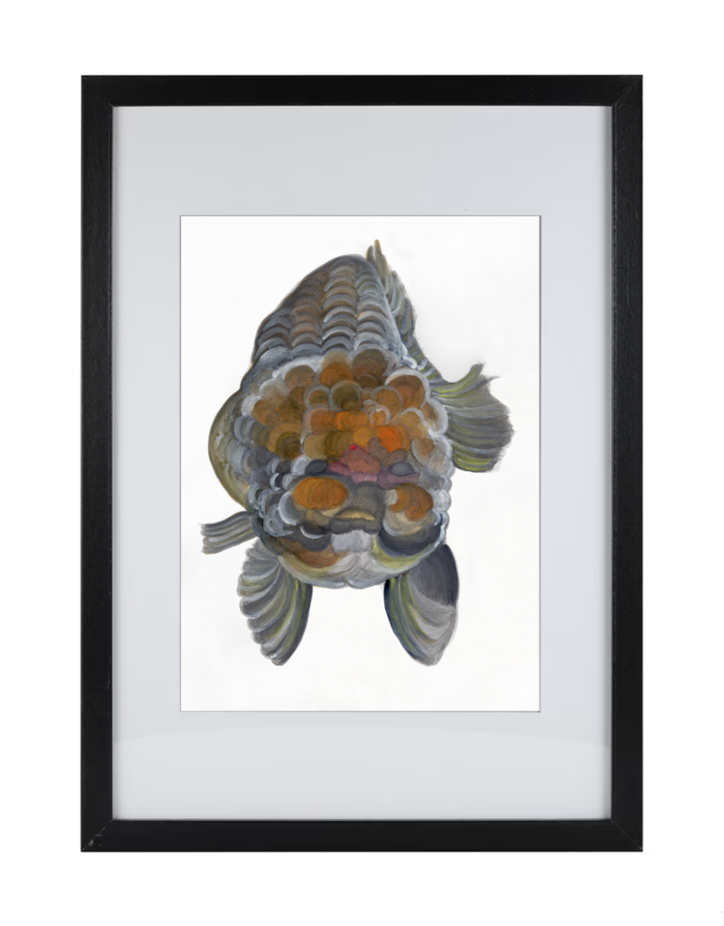 Goldfish Series 6 | Watercolor Hand Painting | Produced by Joachim Heng | Winter Art from 14th June to 21st August 2024