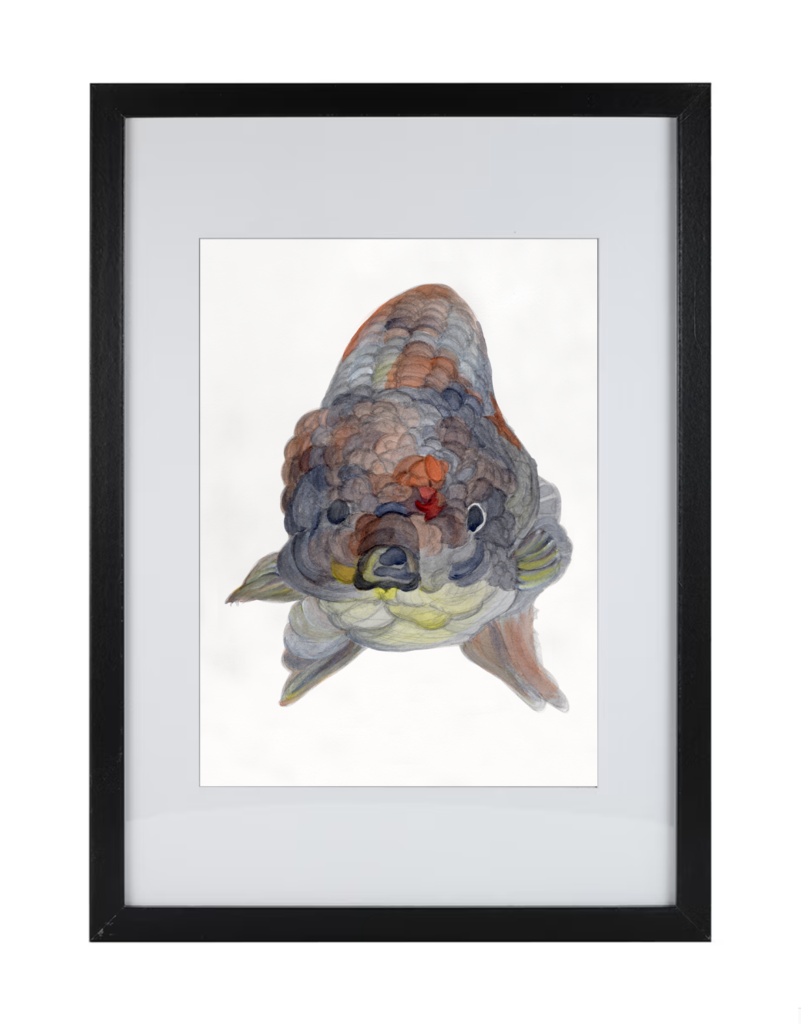 Goldfish Series 6 | Watercolor Hand Painting | Produced by Joachim Heng | Winter Art from 14th June to 21st August 2024